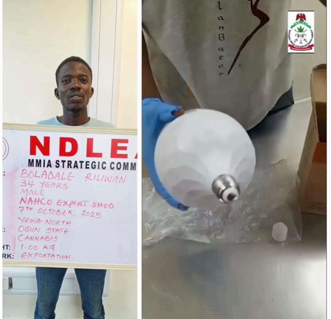 UK-based public health assistant arrested for trafficking hard drugs as NDLEA intercept drugs concealed in Electric bulbs, car compartments